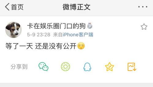 泄密爆料吃瓜系统最新,泄密爆料背后的真相与内幕